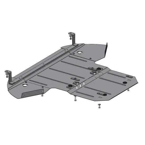 Mootorikaitse - Audi A8 (2002-2010)