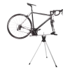 Thule RoundTrip Transition