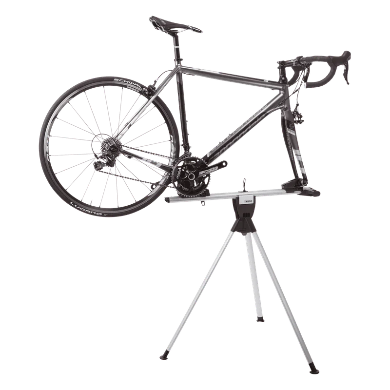 Thule RoundTrip Transition