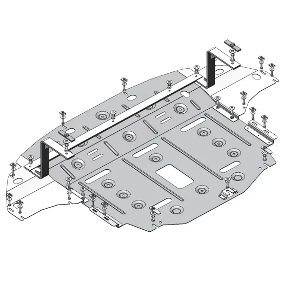 Mootorikaitse - Hyundai Ioniq Electric (2016-2021)