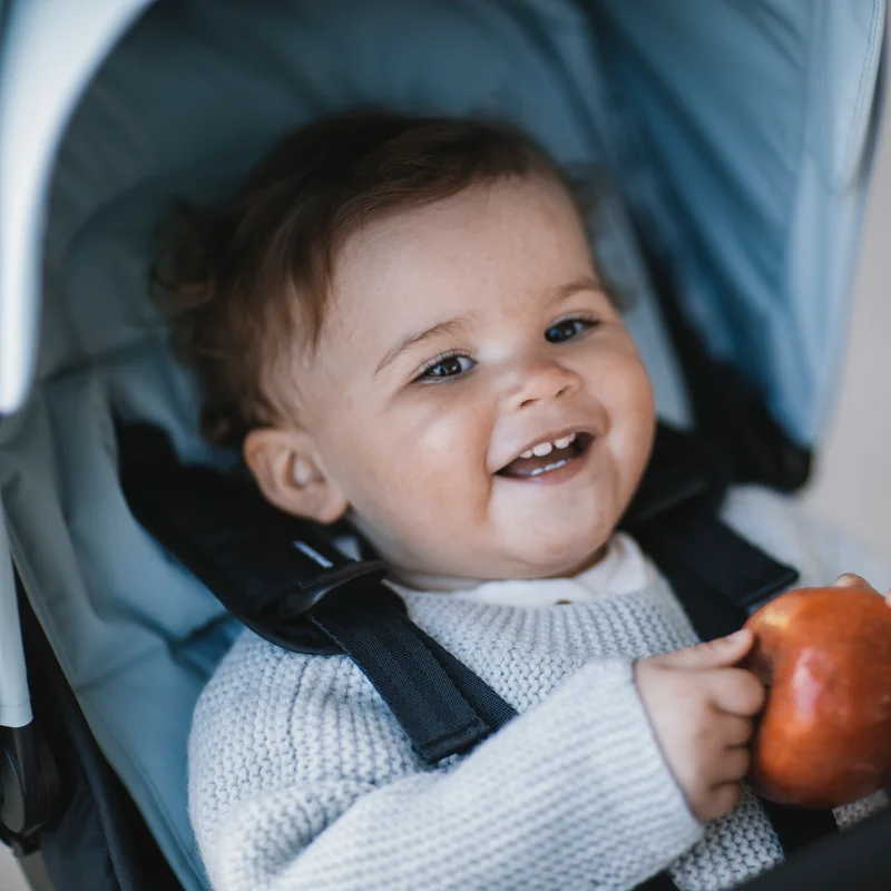 Thule stroller seat liner
