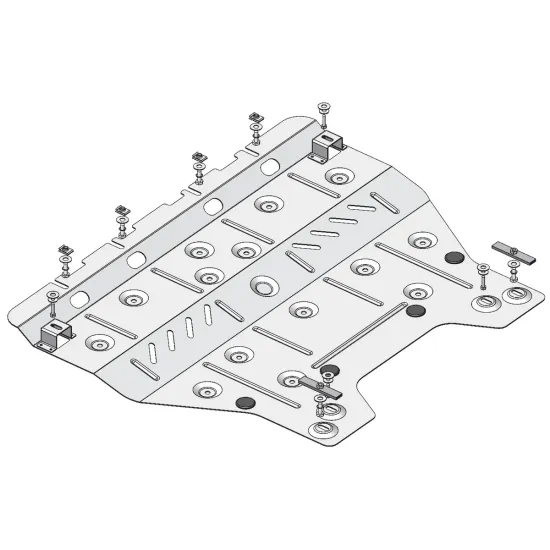 Mootorikaitse - Peugeot 508 (2010-2018)