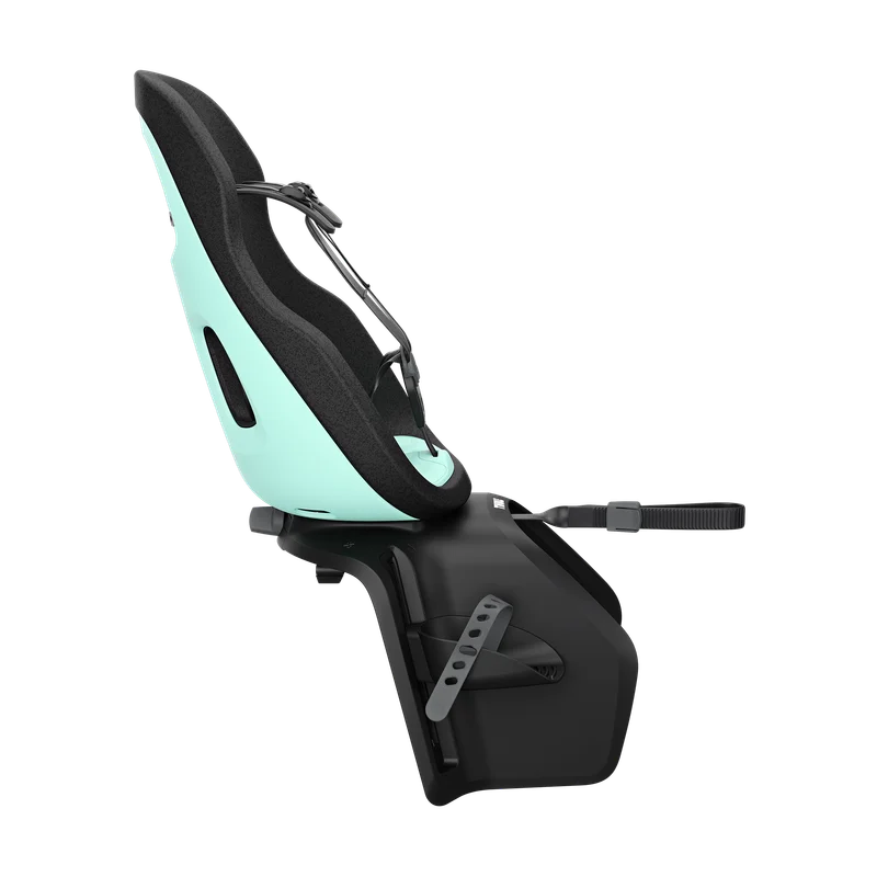 Thule Yepp Nexxt 2 maxi rack mount