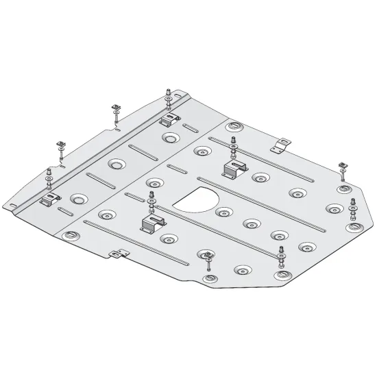Mootorikaitse - Lexus RZ (2023-)