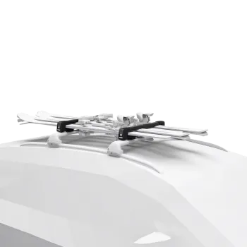 SnowPack M