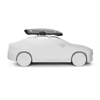 Vector M