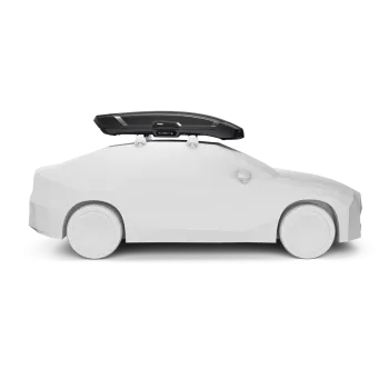 Vector M