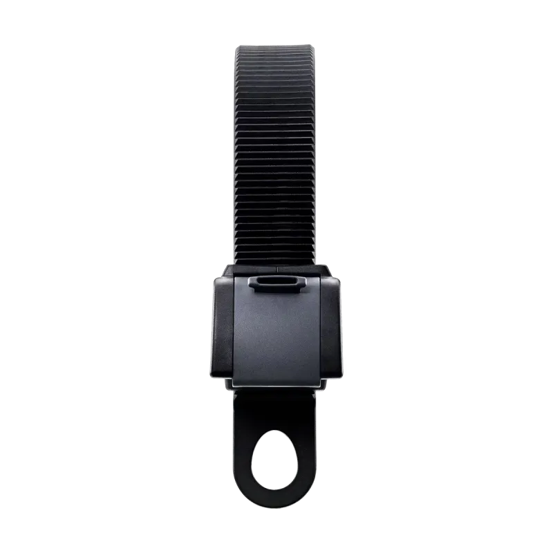 Thule ladder carrier
