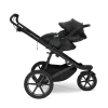 Thule Maple