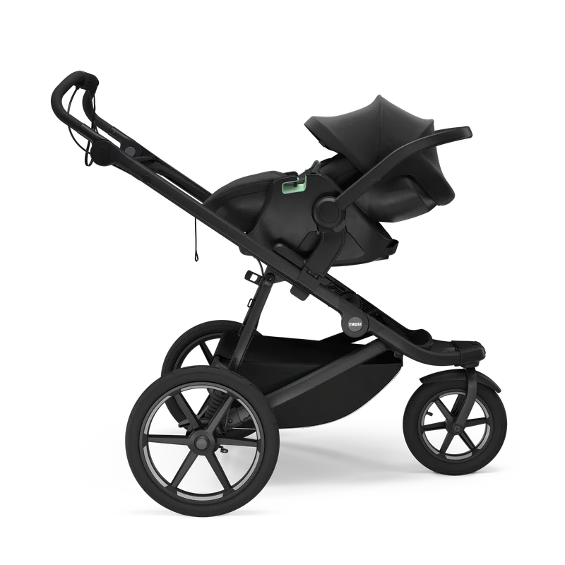 Thule Maple