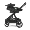 Thule Maple
