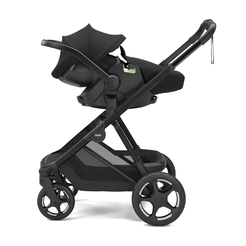 Thule Maple