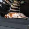 Thule dog crate mat standard