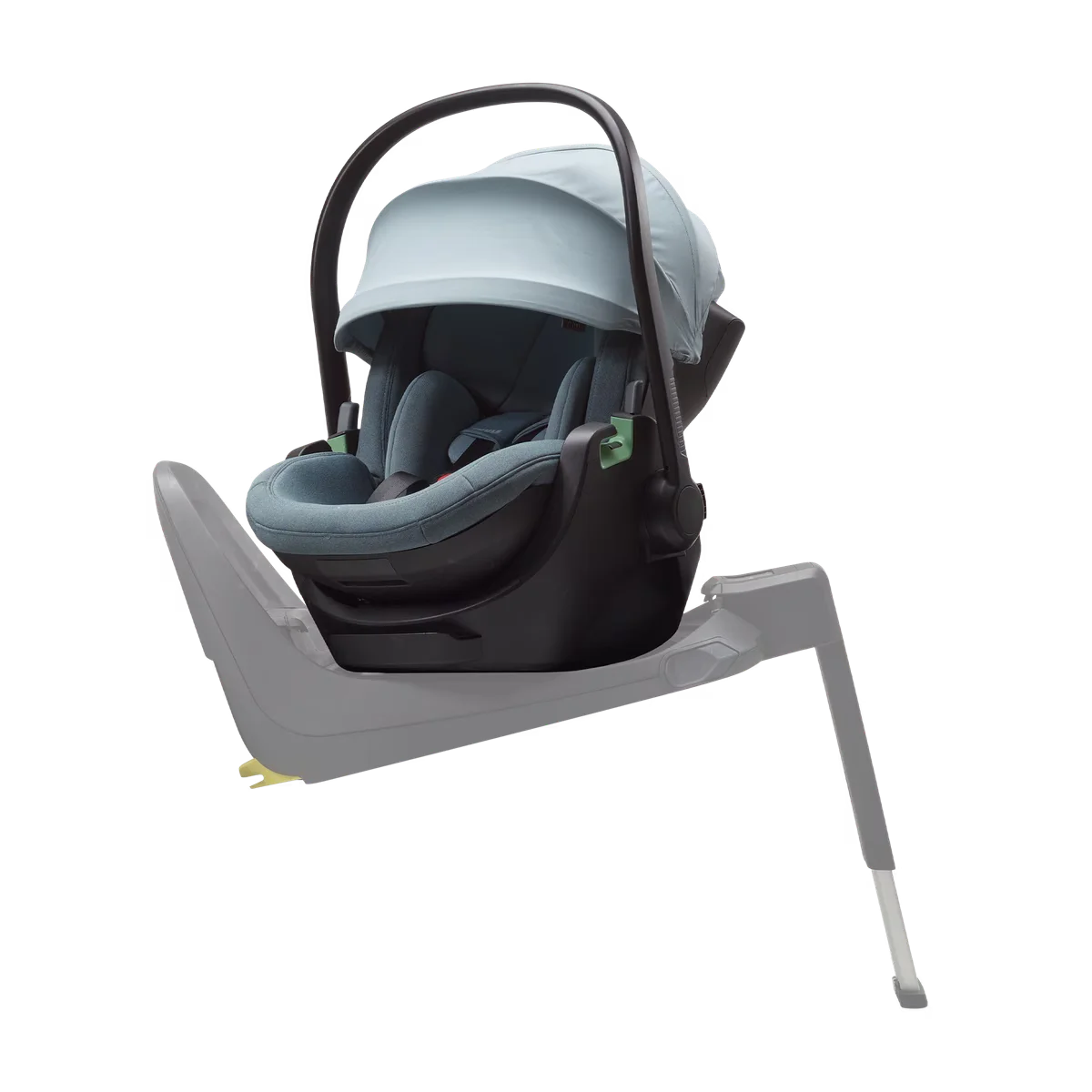 Thule Maple