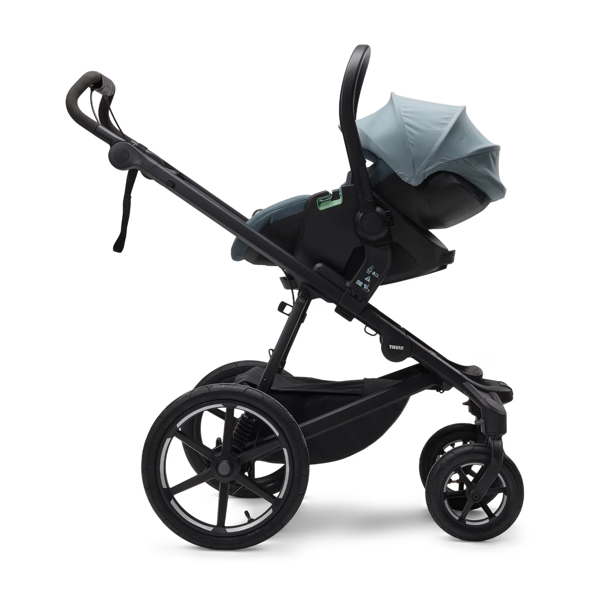 Thule Maple