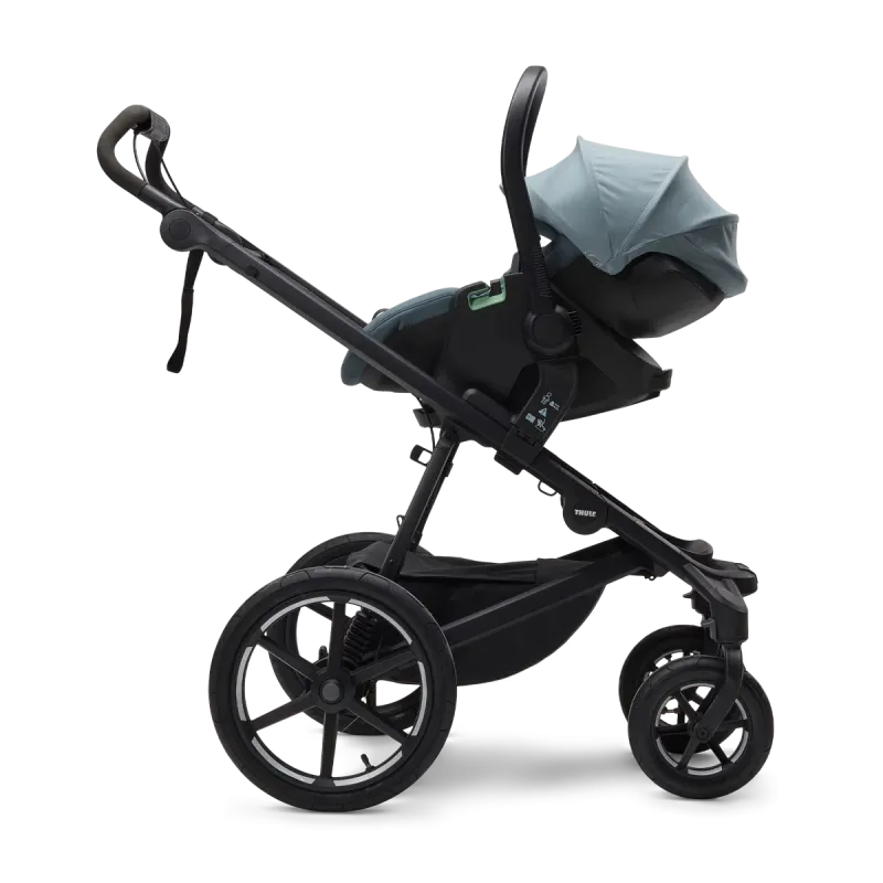 Thule Maple