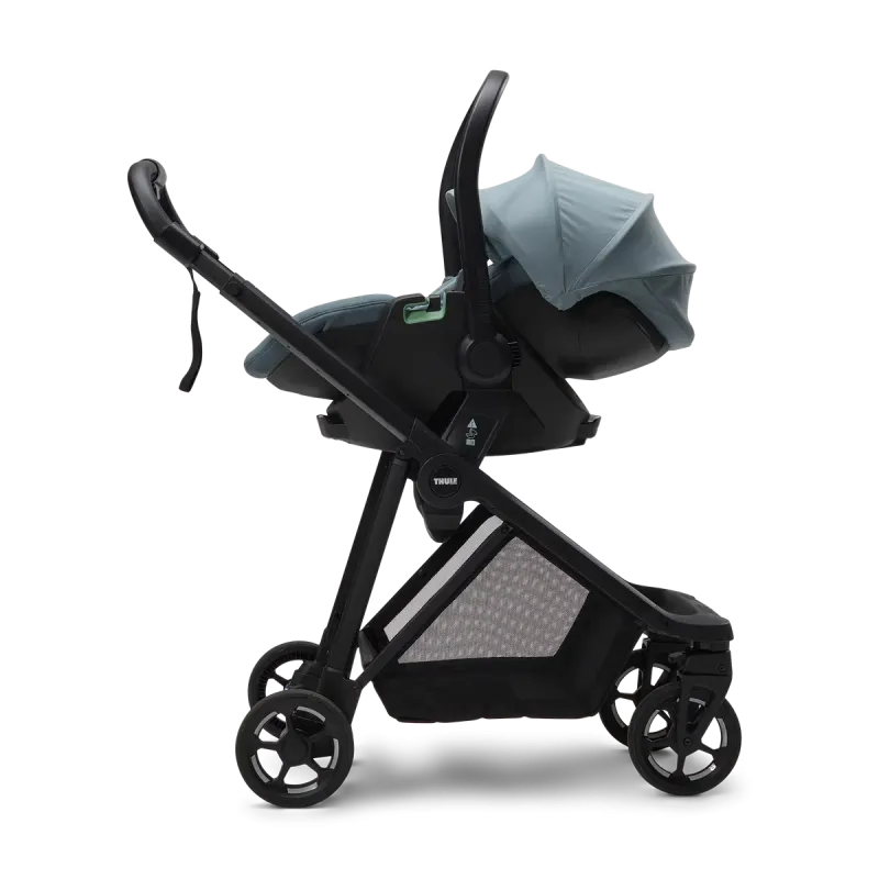 Thule Maple