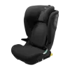 Thule Palm