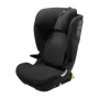 Thule Palm
