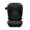Thule Palm