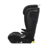 Thule Palm
