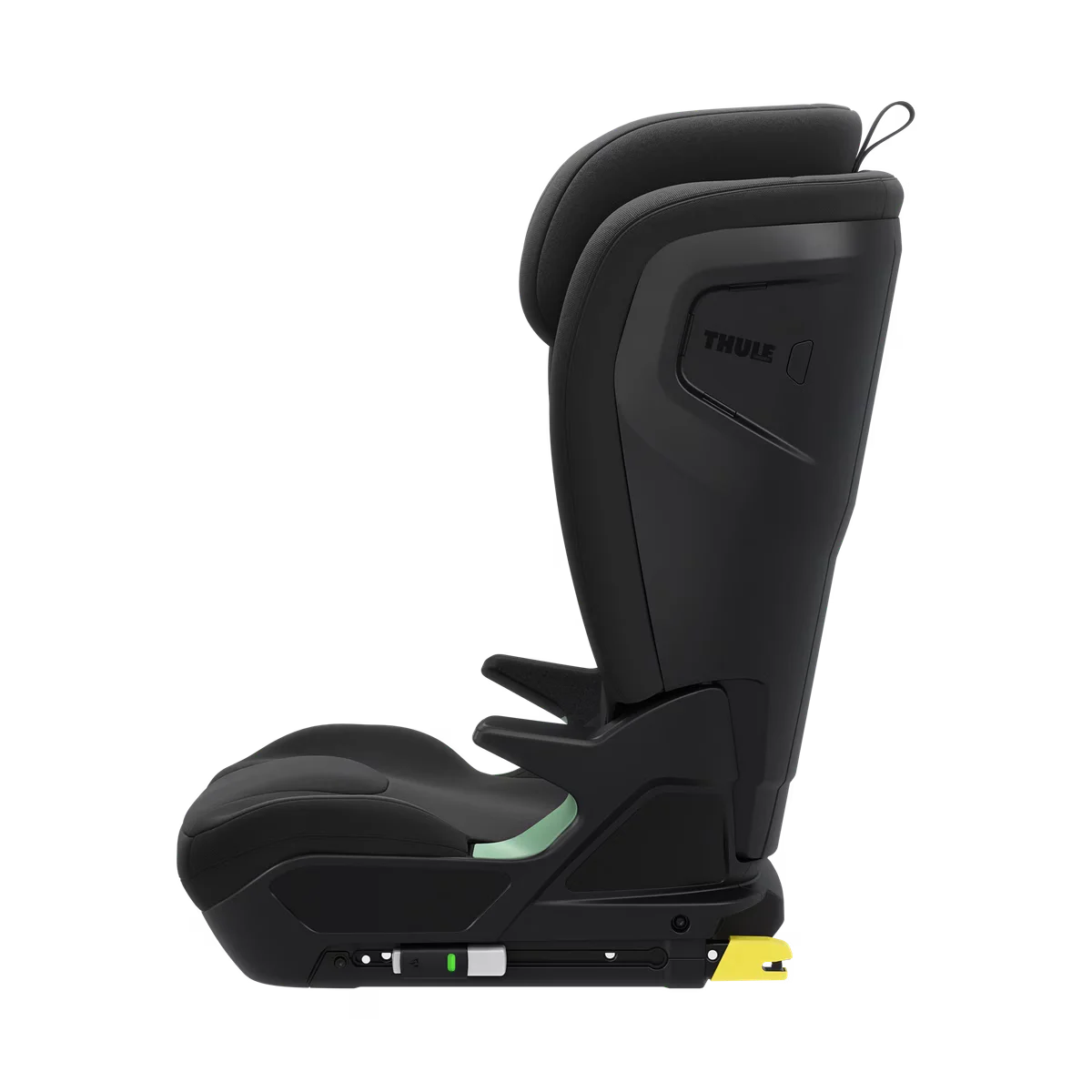 Thule Palm