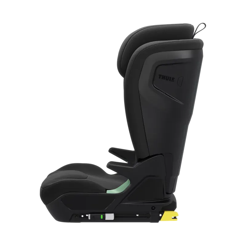 Thule Palm