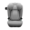 Thule Palm
