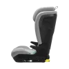 Thule Palm