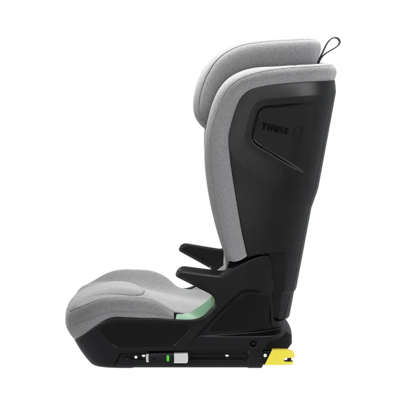 Thule Palm