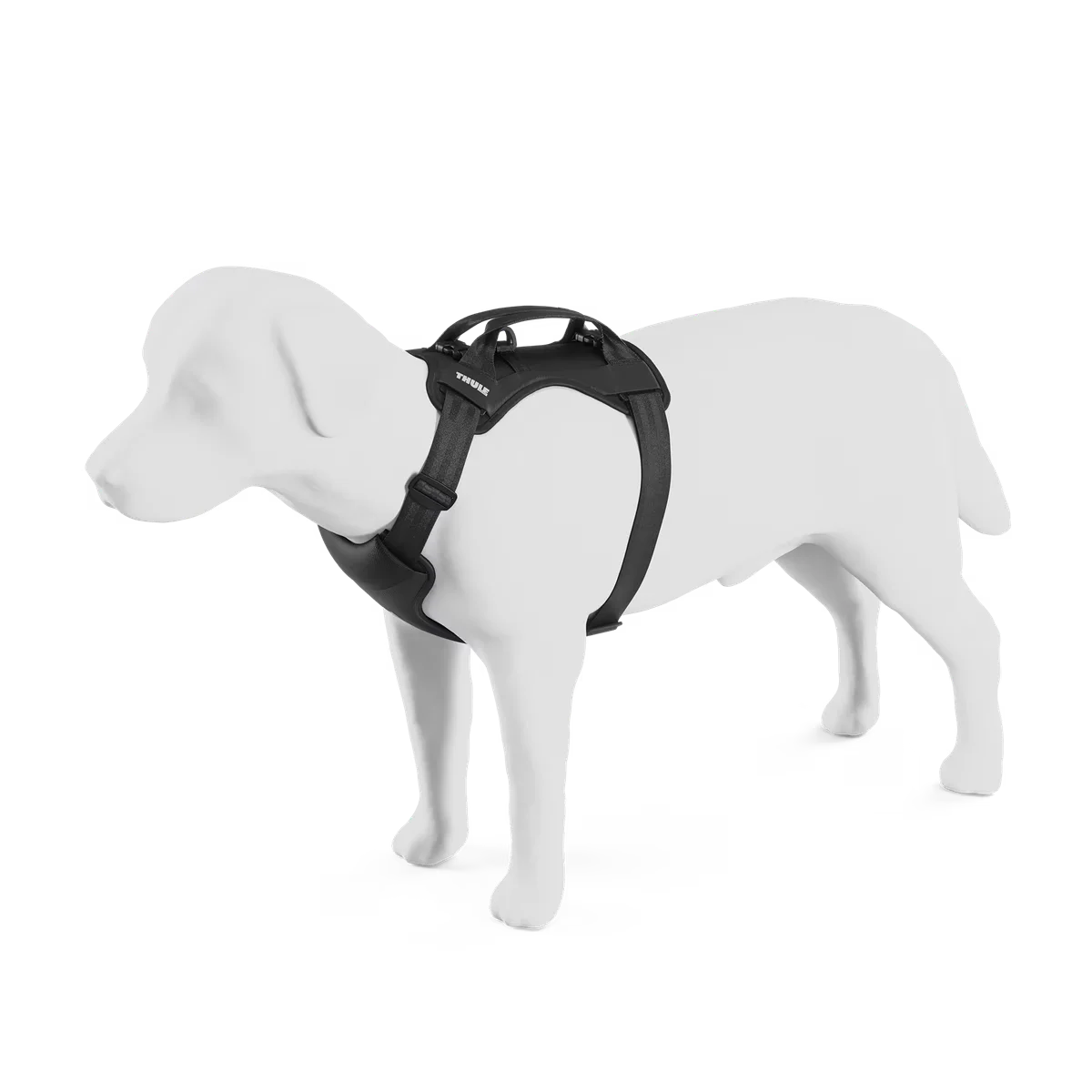 Thule Cappy L