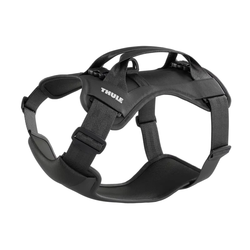 Thule Cappy L