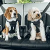 Thule Cappy L