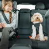 Thule Cappy L