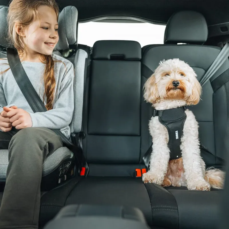 Thule Cappy L