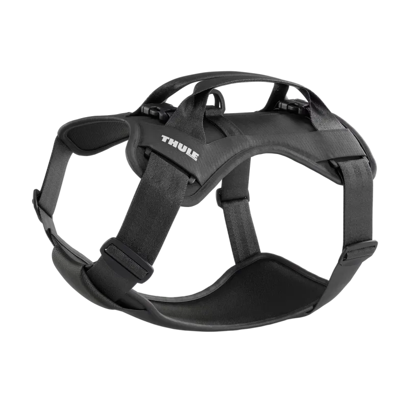 Thule Cappy M