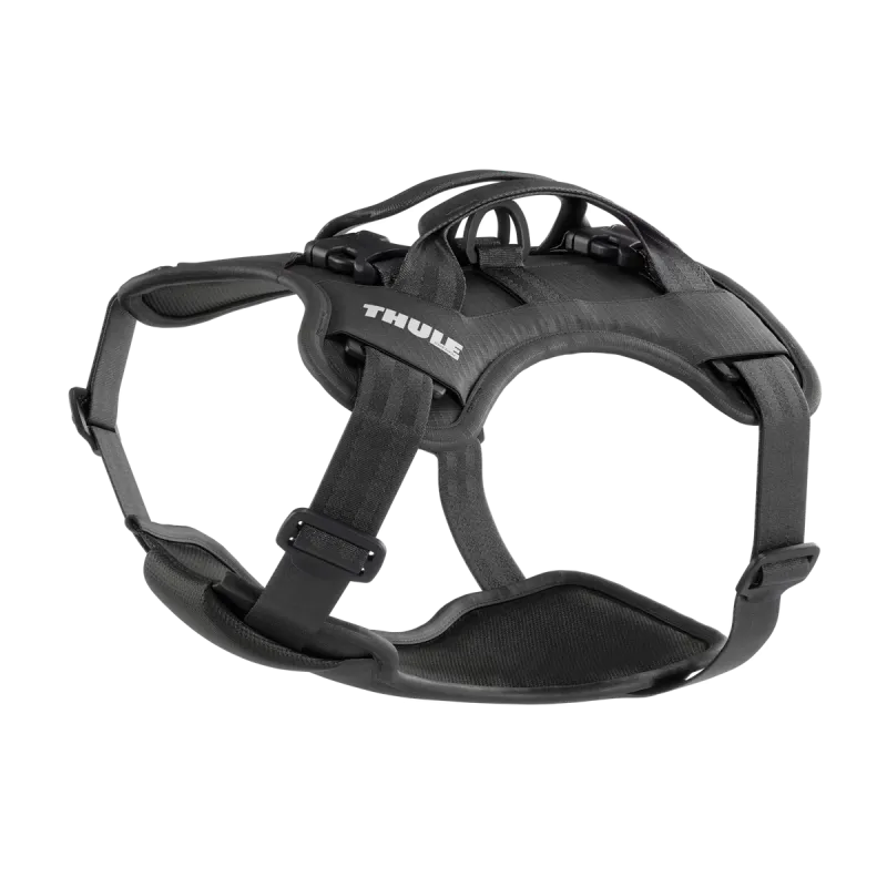 Thule Cappy S