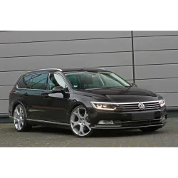 Tagumise põrkeraua kaitse - Volkswagen Passat (2014-)