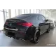 Dekoratiivliist tagaluugile - Mercedes Gle (2019-)