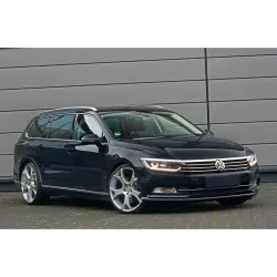 Tagumise põrkeraua kaitse - Volkswagen Passat (2014-)