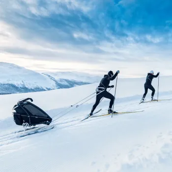 Chariot cross-country skiing kit