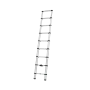 Thule van ladder