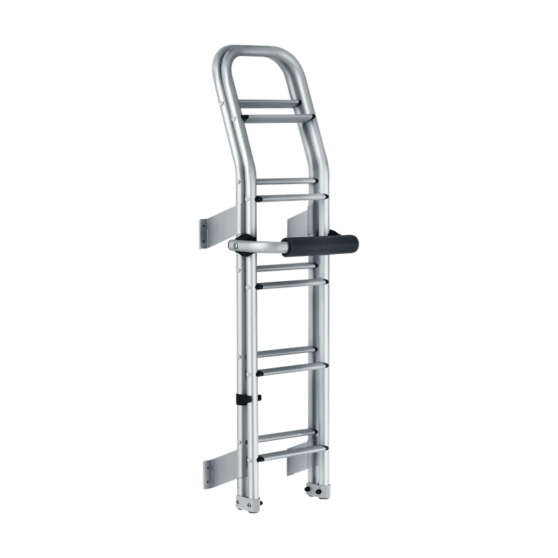Thule ladder