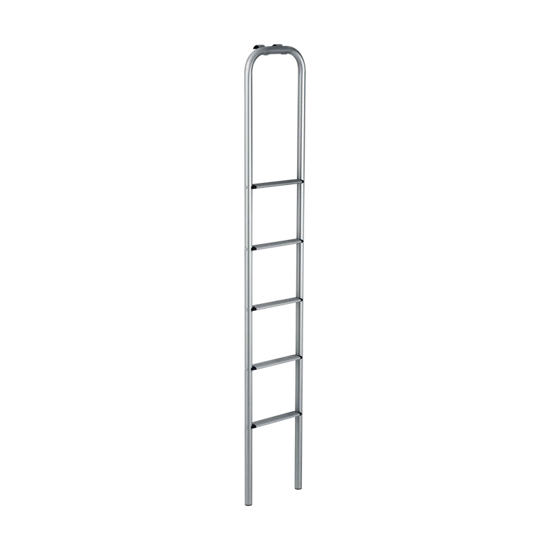 Thule ladder