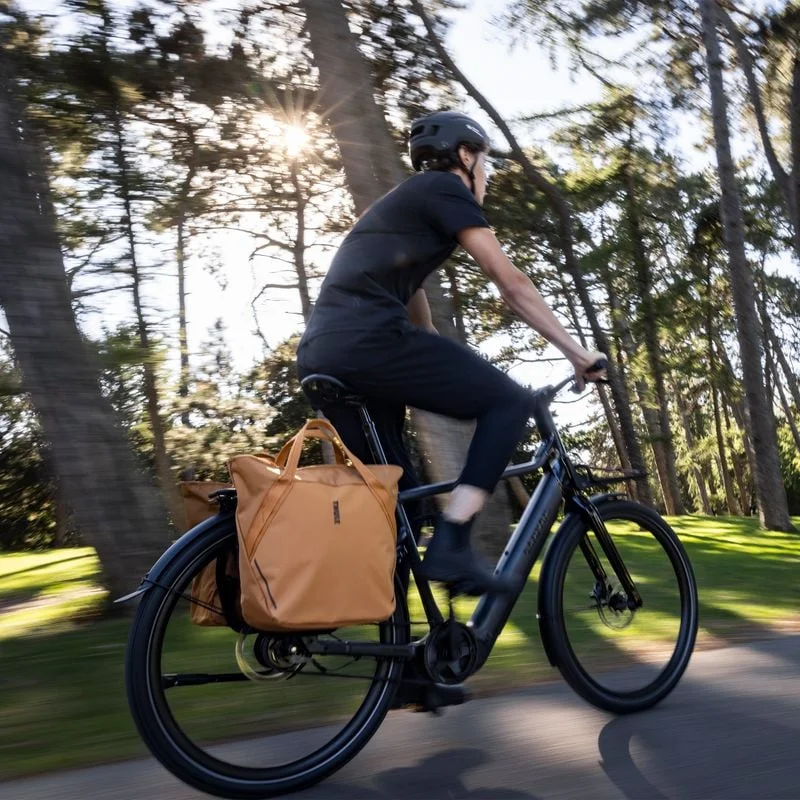 Thule Chasm 25L