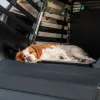 Thule dog crate mat double