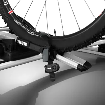 Wheel strap locks