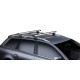Thule SnowPack S