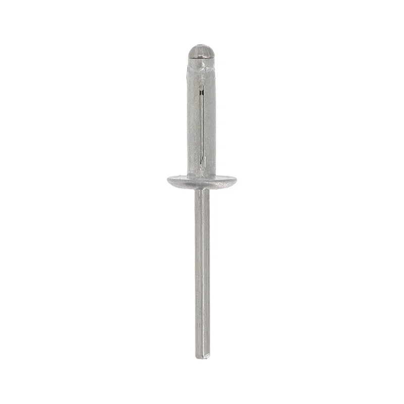 Laienev neet Ø 4,8 x 19,8 mm, lai pea