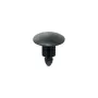 Tüübel Ø 8 mm, sisepolster, pikkus 20 mm